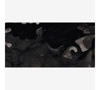 Winsor & Newton 1005030 Drawing Ink 14ml Black Indian