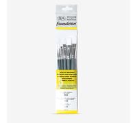 Winsor & Newton : Foundation Acrylic Brush Set : SH Round 3&6 Flat 10&14 Filbert 3&6