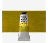 Winsor & Newton : Galeria : Acrylic Paint : 60ml : Green Gold