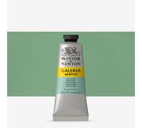 Winsor & Newton : Galeria : Acrylic Paint : 60ml : Pale Olive
