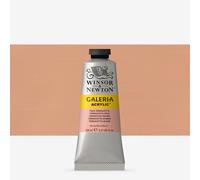 Winsor & Newton : Galeria : Acrylic Paint : 60ml : Pale Terracotta