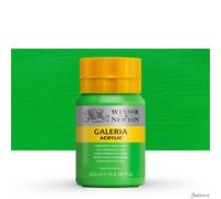 Winsor and Newton 250ml Galeria Acrylic Paint - Perm Green Light
