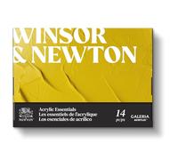 Winsor & Newton Galeria Acrylic Paint, Set of 10x12ml Tubes (includes 2 Brushes, Pad, Palette)