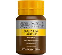 Winsor & Newton Acrylic Paint Galeria Series 1 250ml Bottle with Nozzle Cap - Burnt Umber