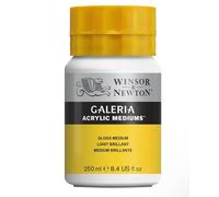 Winsor and Newton 250ml Galeria Acrylic Gloss Medium
