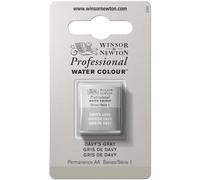 Winsor & Newton Half Pan Professional Water Colour, Davy's Gray