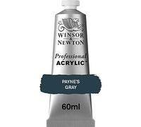 Winsor and Newton Professional Artists Acrylic 60ml - PAYNES GREY
