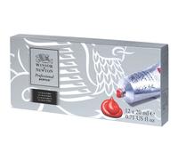 Winsor and Newton Artists Acrylic Paint Starter (12 x 20 ml)