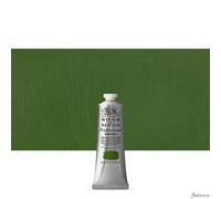 Winsor & Newton 2320162 Professional Acrylic Colour, Chromium Oxide Green, 60 ml (Pack of 1)
