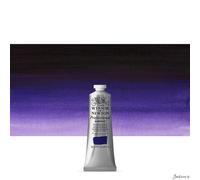 Winsor & Newton 2320229 Professional Acrylic Colour - Dioxazine Purple, 60 ml (Pack of 1)