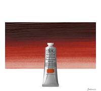 Winsor & Newton 60 ml Professional Acrylic Colour - Quinac Burnt Orange