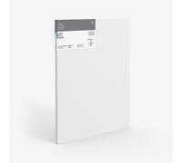 Winsor & Newton 24 x 30-Inch Professional Cotton Traditional Canvas Single unit