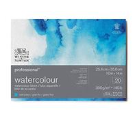 Winsor & Newton Professional Watercolor Paper Block, 10" x 14", Cold Pressed