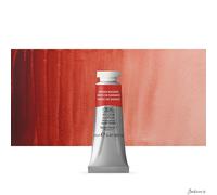 Winsor & Newton Professional Watercolour Paint, Artist Quality, Finest Pigments, Brown Madder, 14 ml Tube