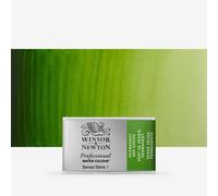 Winsor & Newton : Professional Watercolour : Full Pan : Permanent Sap Green