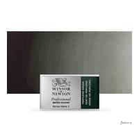 Winsor & Newton : Professional Watercolour : Full Pan : Perylene Green
