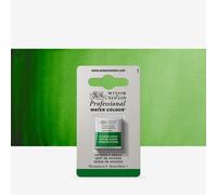 Winsor & Newton : Professional Watercolour : Half Pan : Hooker's Green