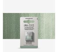 Winsor & Newton : Professional Watercolour : Half Pan : Mineral Grey