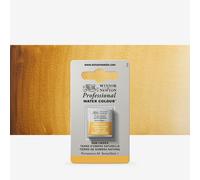 Winsor & Newton : Professional Watercolour : Half Pan : Raw Umber