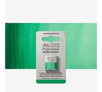 Winsor & Newton : Professional Watercolour : Half Pan : Winsor Green (Yellow Shade