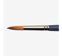 Winsor & Newton Professional Watercolour Brush, Synthetic, Gray, Rundpinsel-Nr. 12