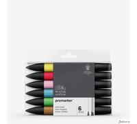 Winsor & Newton ProMarker Artist Marker Set Alcohol Based 6 Pack Mid Tones Art