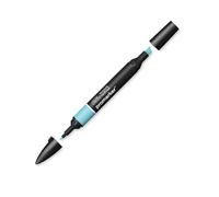 Winsor & Newton : ProMarker : Duck Egg C528