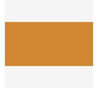 Winsor & Newton : ProMarker : Raw Sienna O646