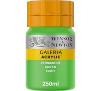 Winsor & Newton Acrylic Paint Galeria Series 1 250ml Bottle Nozzle Cap – Permanent Green Light