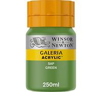 Winsor & Newton Series 1 250ml Bottle Galeria Acrylic Colour with Nozzle Cap - Sap Green