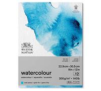 Winsor and Newton Watercolour Paper Pad, 22.9 x 30.5 cm, 12 Sheets, 300 g/m, Glue Bound, Cold Pressed, Acid , Mixture of 25 Percent Cotton and Cellulose Fibres, Natural White
