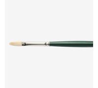 Winsor & Newton : Winton Brush : Filbert : No 2