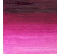 Winsor and Newton 37ml Winton Oil Colours - Magenta