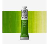 Winsor & Newton : Winton : Oil Paint : 200ml : Chrome Green Hue