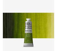 Winsor & Newton : Winton : Oil Paint : 37ml : Sap Green