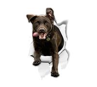 Winston & Bear 2 Pack Excited Black Labrador 3D Dog Stickers - Realistic Vinyl Wall, Refrigerator, Bedroom, Door, Room, Bathroom, Furniture, Office, Car Decals