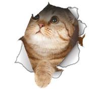 Winston & Bear 2 Pack - Global Decals 3D Cat Stickers - Cheeky Looking Up Cat Stickers for Wall, Fridge, Toilet and More - Retail Packaged