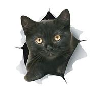 Winston & Bear 3D Cat Stickers - 2 Pack - Black Cat Wall Decals - Cat Lover Gifts - Cat Wall Stickers for Bedroom - Fridge - Toilet - Car - Retail Packaged (Cheeky Black Cat)