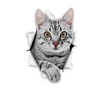 Winston & Bear 3D Cat Stickers - 2 Pack - Grey Tabby Cat Stickers for Wall, Fridge, Toilet and More
