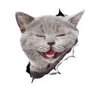 Winston & Bear 3D Cat Stickers - 2 Pack - Laughing Grey Cat Decals for Wall - Fridge - Toilet - Car - Retail Packaged