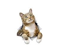 Winston & Bear 3D Cat Stickers - 2 Pack - Pondering Tabby Stickers for Wall, Fridge, Toilet and More - Retail Packaged Tabby Cat Stickers