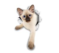 Winston & Bear 3D Cat Stickers - 2 Pack - Siamese Kitten Cat Decals for Wall - Stickers for Bedroom - Fridge - Toilet - Room - Retail Packaged