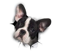 Winston & Bear 3D Dog Stickers - 2 Pack - Black and White French Bulldog for Wall, Fridge, Toilet and More - Retail Packaged Pied Frenchie