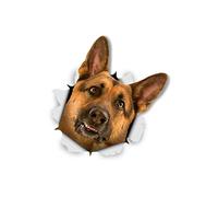 Winston & Bear 3D Dog Stickers - 2 Pack - Curious German Shepherd for Wall, Fridge, Toilet and More - Retail Packaged German Shepherd Dog Stickers