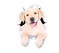 Winston & Bear 3D Dog Stickers - 2 Pack - Cute White Labrador Retriever Stickers for Wall, Fridge, Toilet and More - The Best Lab Gifts - Retail Packaged White Labrador Decals