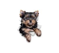 Winston & Bear 3D Dog Stickers - 2 Pack - Cute Yorkshire Terrier for Wall, Fridge, Toilet and More - Retail Packaged Yorkshire Terrier Dog Stickers - Yorkie Car Decal