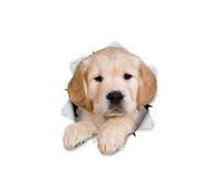 Winston & Bear 3D Dog Stickers - 2 Pack - Golden Retriever Puppy Stickers for Wall, Fridge, Toilet, Room - Retail Packaged Golden Retriever Dog Wall Decals
