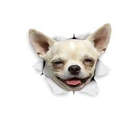 Winston & Bear 3D Dog Stickers - 2 Pack - Happy Chihuahua for Wall, Fridge, Toilet and More - Retail Packaged Happy Chihuahua Dog Stickers