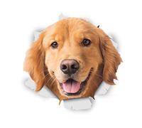 Winston & Bear 3D Dog Stickers - 2 Pack - Happy Golden Retriever Decals for Wall - Fridge - Toilet - Room - Retail Packaged Golden Retriever Dog Stickers