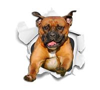 Winston & Bear 3D Dog Stickers - 2 Pack - Super Staffy! Brown Staffordshire Terrier Sticker for Wall, Fridge, Toilet and More - Retail Packaged Staffordshire Terrier